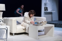 The Clean House Photo 10