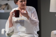 The Clean House Photo 4