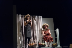 The Clean House Photo 9